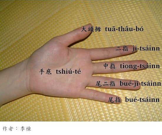 介紹人體手指的詞目以及音讀