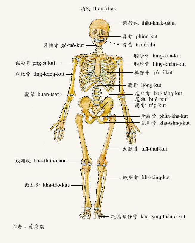 薦骨。位…第1張