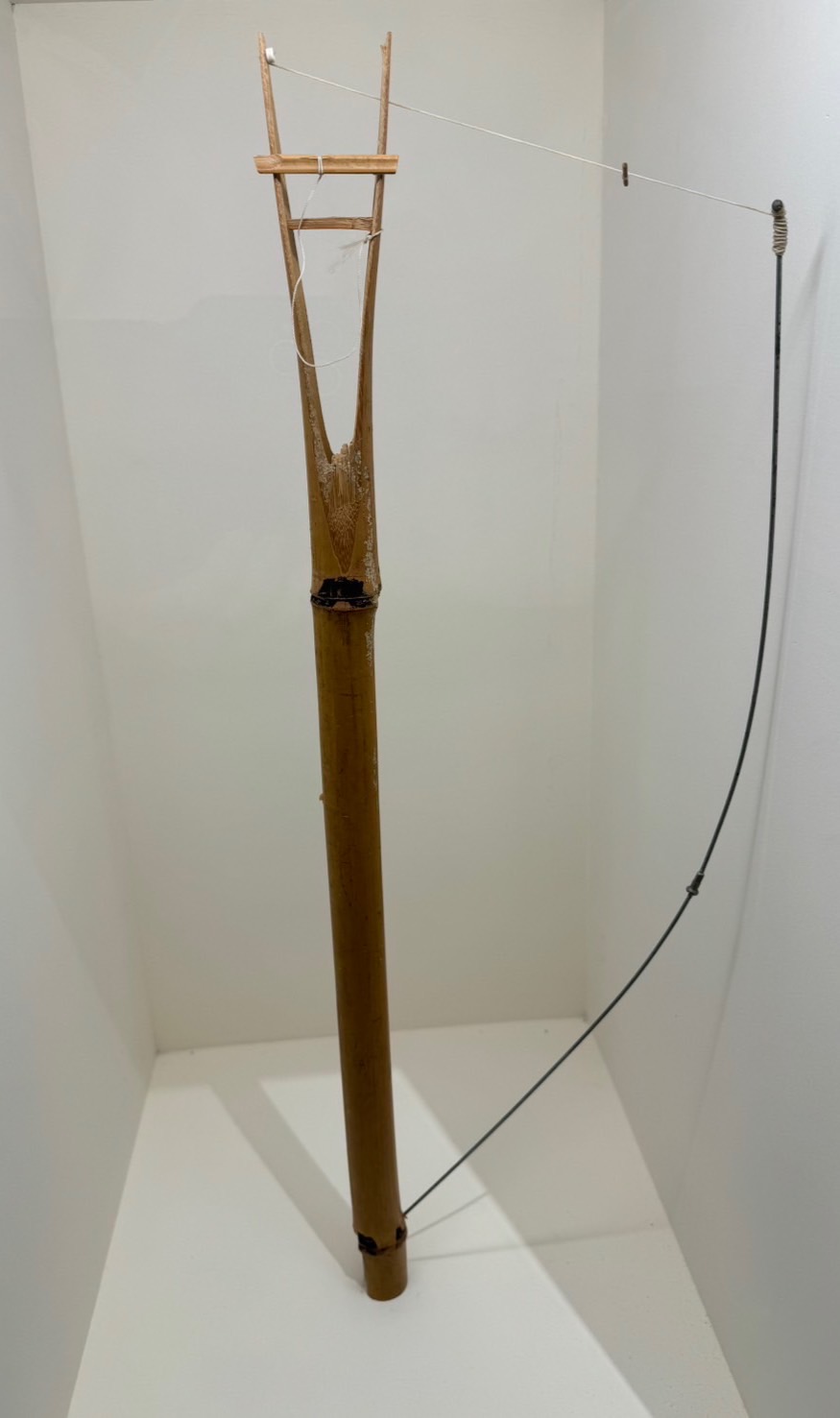 用來獵捕…第1張