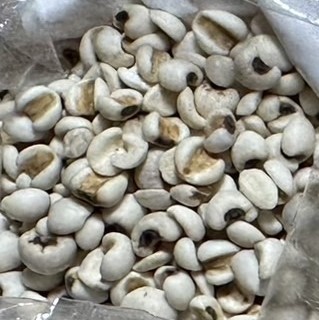 穀類。葉…第1張