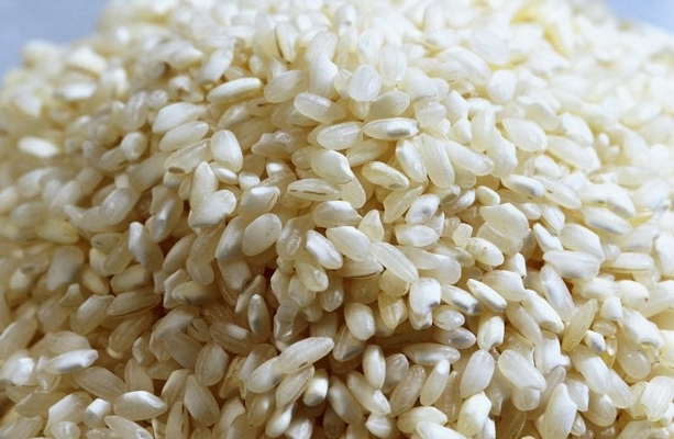 臺灣稻米…第1張