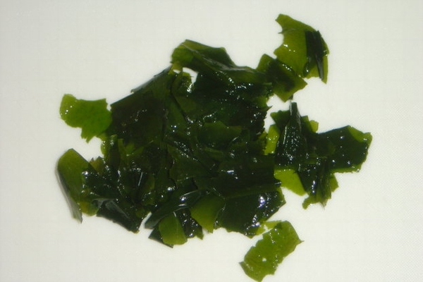 海藻。海…第1張