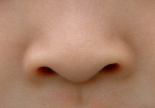 鼻梁下端…第1張