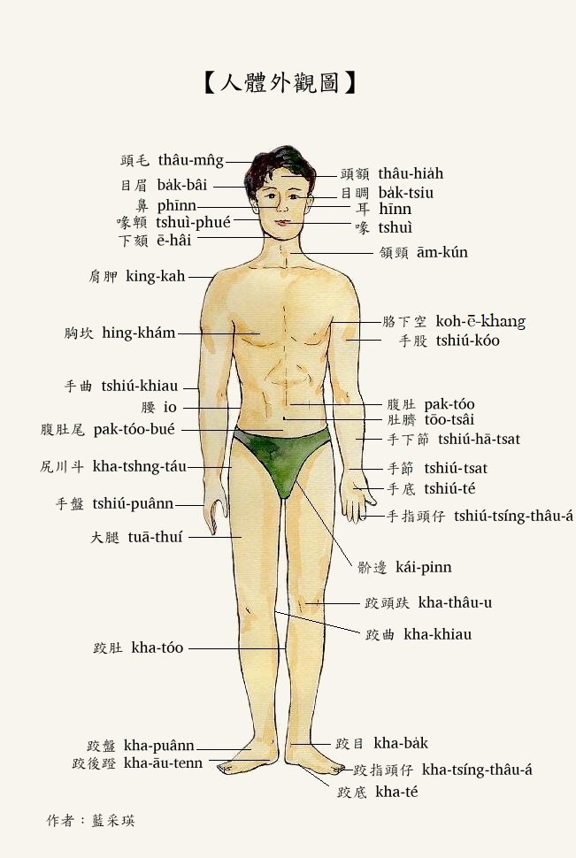 腳跟、腳…第2張
